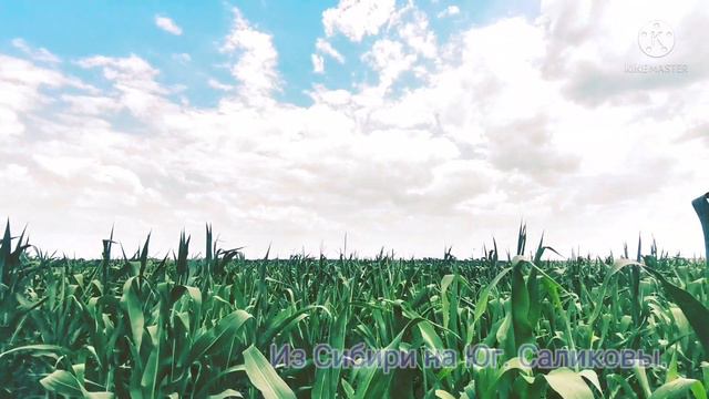 В гостях в Григорьевке. У Галины и Анатолия. Спасибо вам большое друзья! 🙏 смотреть онлайн