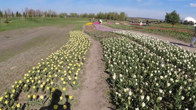 Kyiv Dobropark before war смотреть онлайн