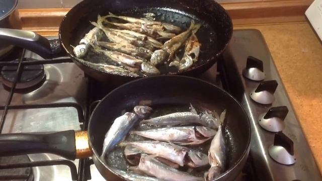 Черноморская СТАВРИДКА смотреть онлайн