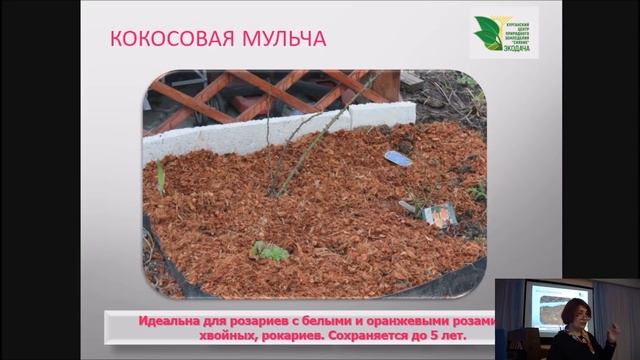 Рецепты для здоровья и красоты