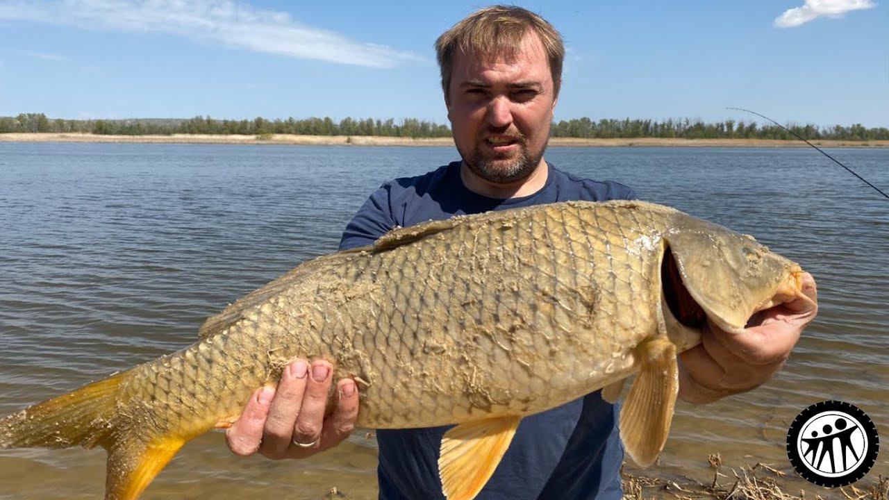 Как мы половили карася :) смотреть онлайн