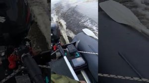 Работа четырехтактного лодочного мотора Suzuki DF5, 2013 г.в.