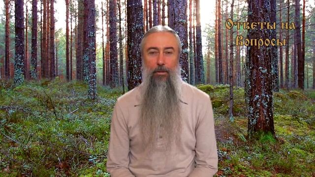 И.А. Глоба - 55 - Почему у большинства существ общие гены? смотреть онлайн