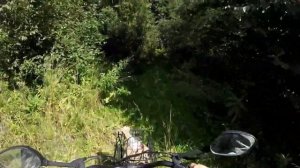 Электровелосипед на рыбалку. Тест по бездорожью