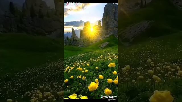 Коран смотреть онлайн