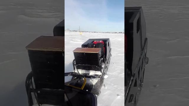 мото -собака смотреть онлайн