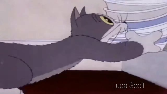 shitpost status смотреть онлайн