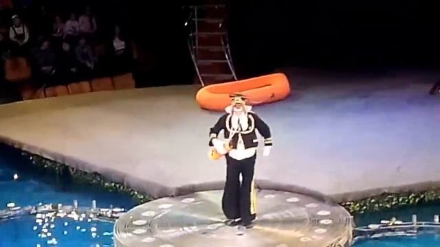 Блог я в Твери#2.ЦИРК НА ВОДЕ.