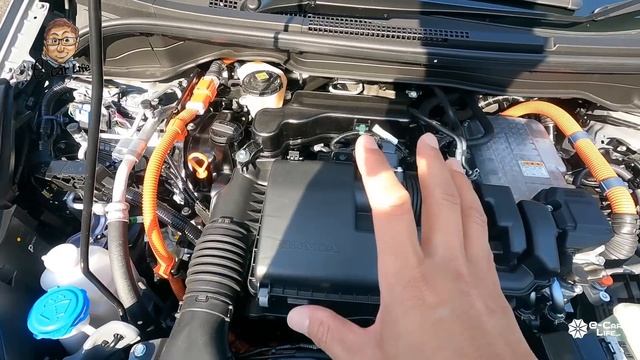 【Eカラ比較】 ホンダ フィット RS vs NISSAN オーラ ニスモ ｜内外装＆使い勝手比較｜E-CarLife with 五味やすたか смотреть онлайн