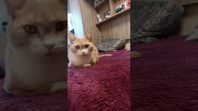 слушай а где все? смотреть онлайн