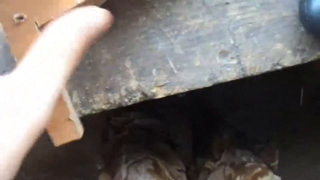 Спусковой механизм для арбалета из дерева. смотреть онлайн