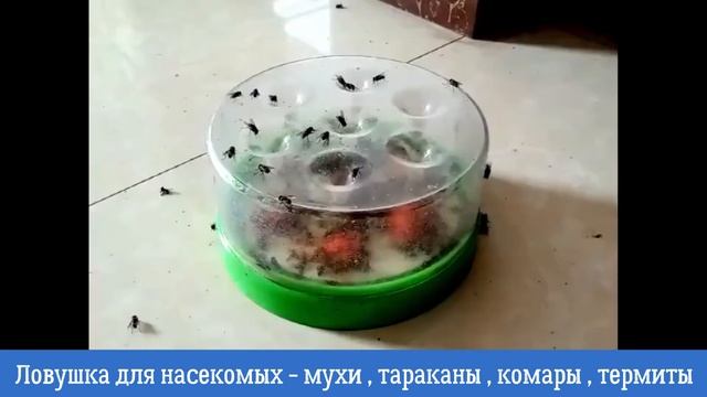Ловушка для насекомых - мухи , тараканы , комары , термиты. смотреть онлайн