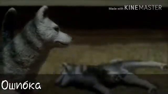 Мои ошибки во время съёмок шляйх сериала "Влюблённые хулиганы" смотреть онлайн