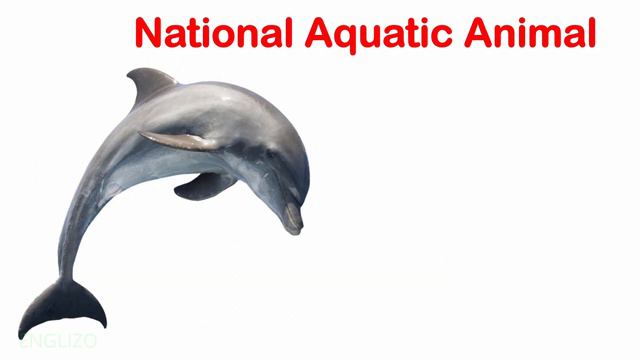 Learn National Symbols of India| National Symbols for Kids in English| Kids Pre School смотреть онлайн