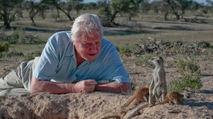 История Жизни 3 серия «Дом» (документальный сериал, 2014)