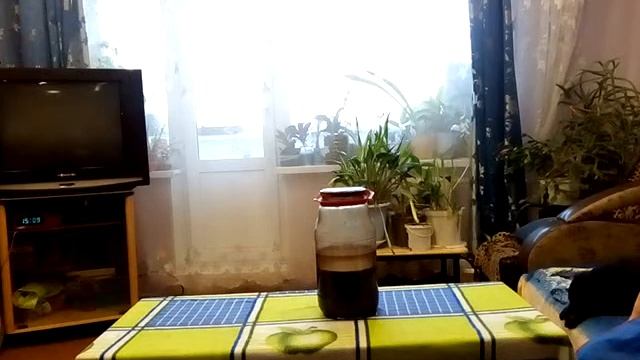Сок чистотела и все о нём. смотреть онлайн