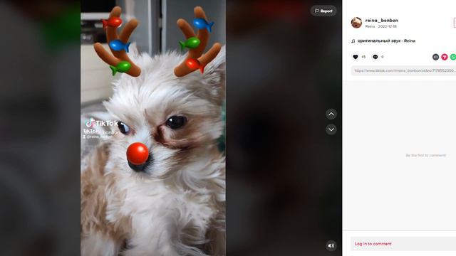 Латвийские госучреждения запрещают TikTok смотреть онлайн