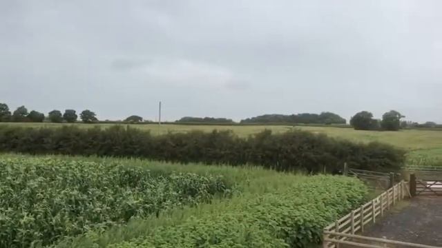 Best of British Maize Maze - How to find us, and what is here. смотреть онлайн