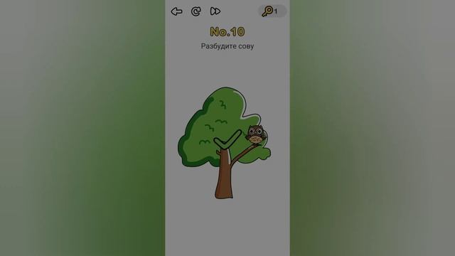 Brain Out 10 уровень / Разбудите сову