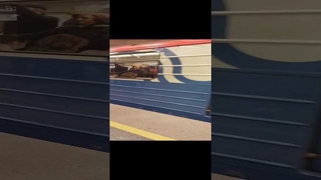 номерной на новой каширской смотреть онлайн
