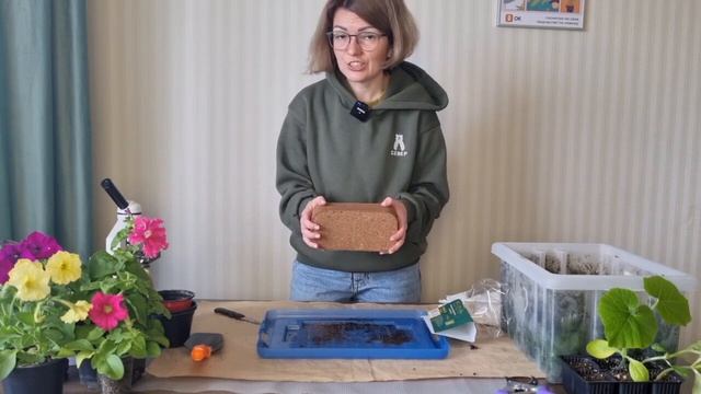 Мастер-Шеф дома