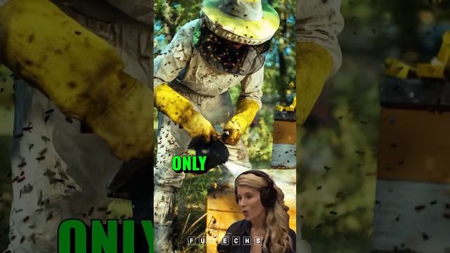 Unveiling the Hidden World of Male Honey Bees: The Untold Story by Erika Thompson #science #bee смотреть онлайн