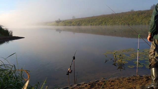 Рыбалка Угра 04 08 22г смотреть онлайн