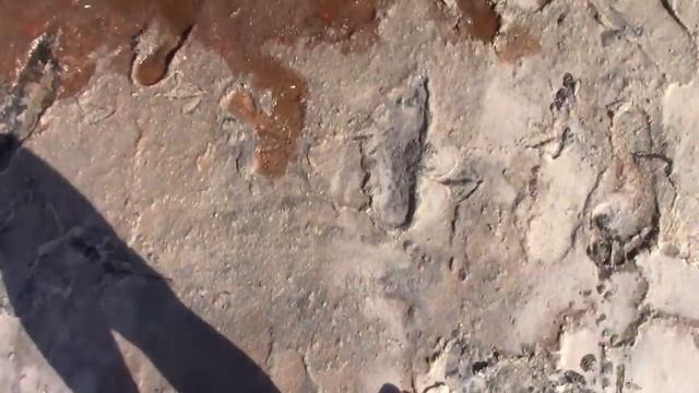 09_08_2019_ЛУШНИКОВСКОЕ (СОЛЁНОЕ ) ОЗЕРО_СВЕТЛОГРАД.mp4 смотреть онлайн