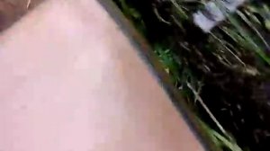 Гусеница цепная