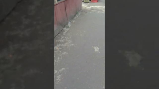 Рынок в Димитровграде (проспект Автостроителей) смотреть онлайн