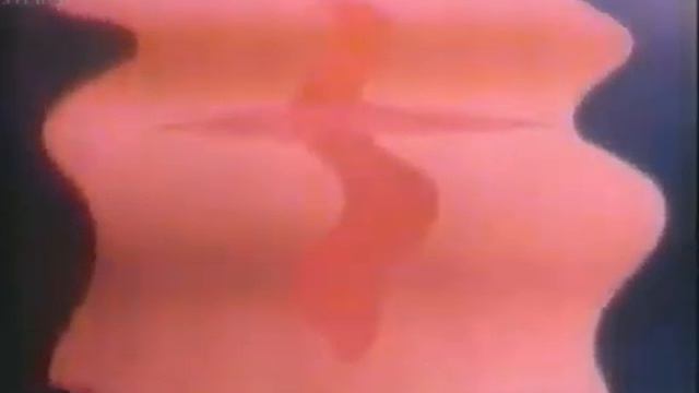 Plato's Cave (animated version) смотреть онлайн