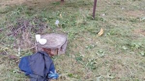 Антивибрационная система на любую косу