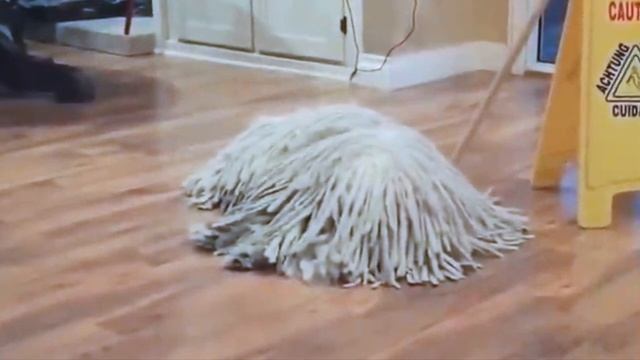 My name is Giovanni Giorgio but. Cleaning is canceled (Джованни Джорджио) смотреть онлайн