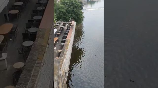 Прага. Прогулка по Карловому мосту смотреть онлайн
