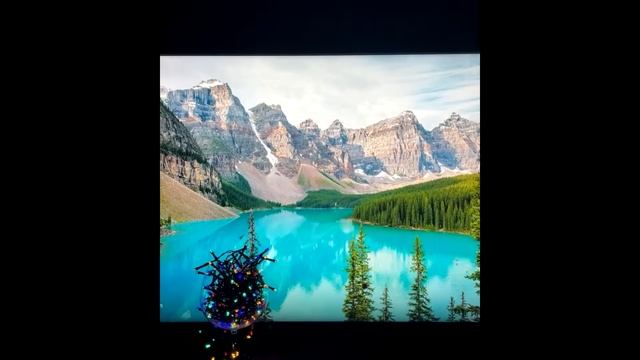 Разговор с подписчиками 12/02/2023