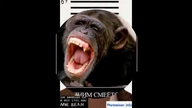 СМЕШНЫЕ ФОТКИ! #1 смотреть онлайн