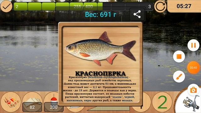 Нарезка улова в игре Реальная рыбалка на месте карасёвый пруд смотреть онлайн