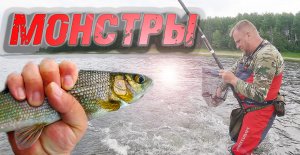 ЛОВИМ ХАРИУСА НА РЕКЕ ТОМЬ, ОТЛИЧНАЯ РЫБАЛКА ПОЛУЧИЛАСЬ