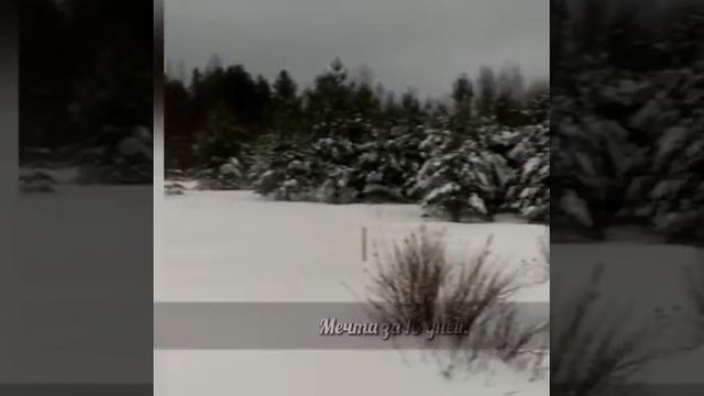 Салми Карелия - Видео заказчика о своем доме от Эко Сити смотреть онлайн