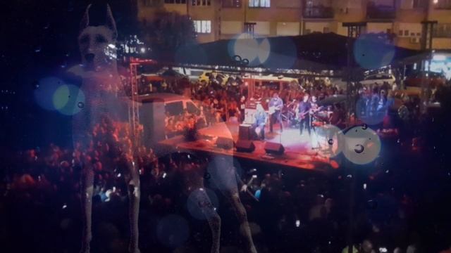 Riblja Čorba - Kada Padne Noć (uživo) Velika Plana, Avgust2022.