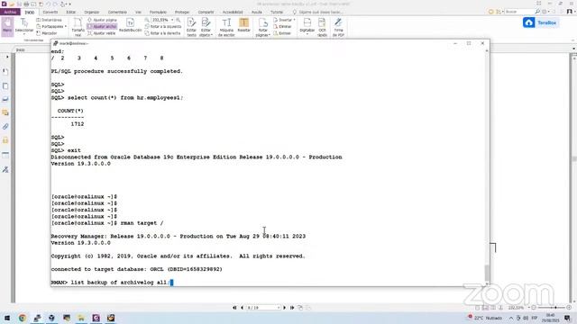 WEBINAR : ORACLE DATAGUARD смотреть онлайн