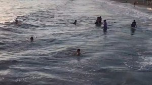 ТУРЦИЯ ?? Отдых в Махмутларе, целый день на море и пирсе, а вечером за купальником, цены!