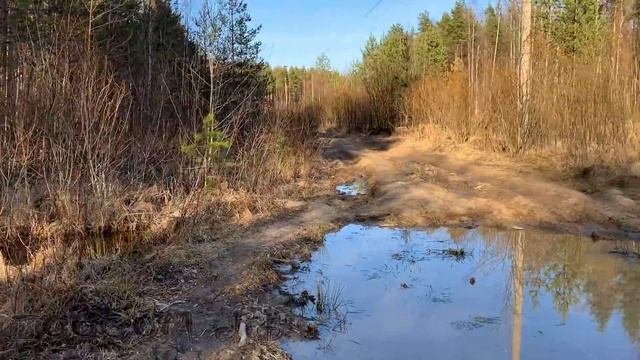 Лягушки просыпаются. Значит, пришла весна! смотреть онлайн