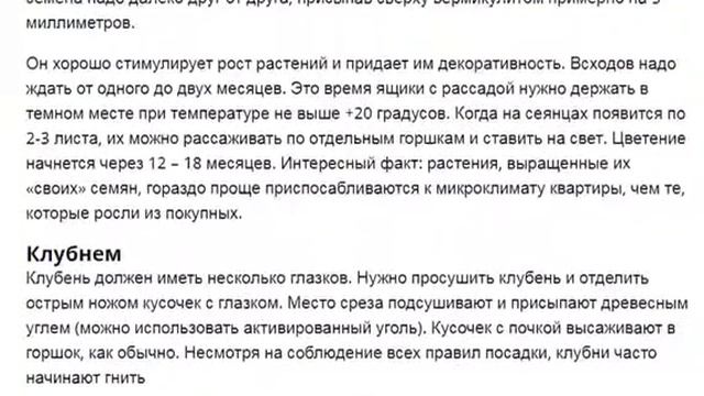 Цикламен Красивые цветы для дома Как ухаживать за цикламеном в домашних условиях смотреть онлайн