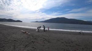 КАК ЛОВИТЬ МОЙВУ / КАК ЛОВИТЬ РЫБУ СЕТКОЙ / КАК ПОЙМАТЬ МНОГО РЫБЫ / РЫБАЛКА НА ТИХОМ ОКЕАНЕ КАНАДА