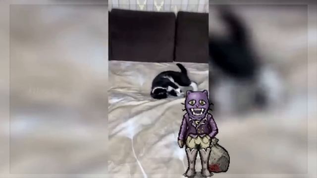 El Pocketcat - Fear and Hunger - Lore - Infrareview смотреть онлайн