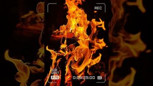 Умар Сильдинский. Сура Муъминун. Коран