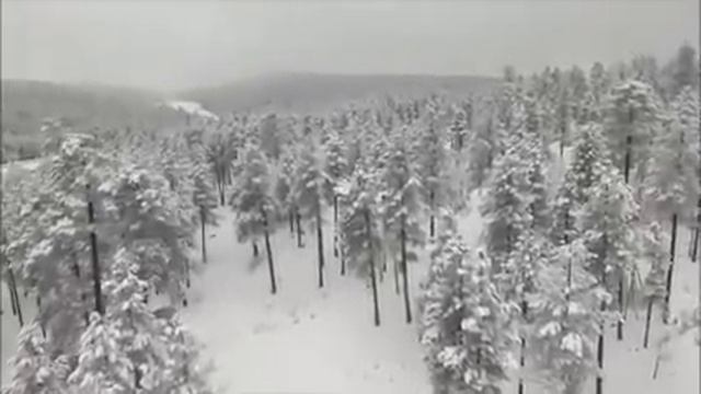 -Из-за какой-то шавки не приехала на день рождения. Это просто неуважение!-считает свекровь. Истори смотреть онлайн