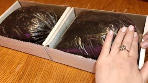 Посадка грибов Вешенки из Wildberries ? Часть 1.