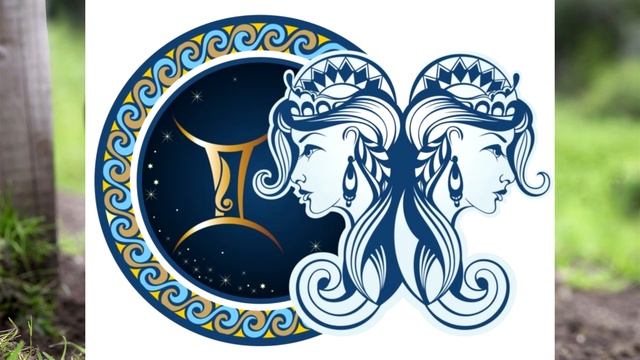 Год Свиньи (Кабана) – описание и характеристика знака смотреть онлайн